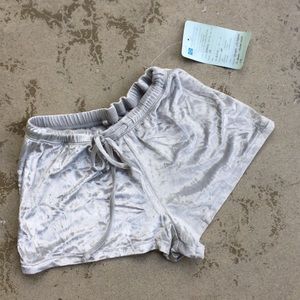 Shimmery Crushed Velvet Short Shorts NWOT